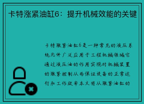 卡特涨紧油缸6：提升机械效能的关键